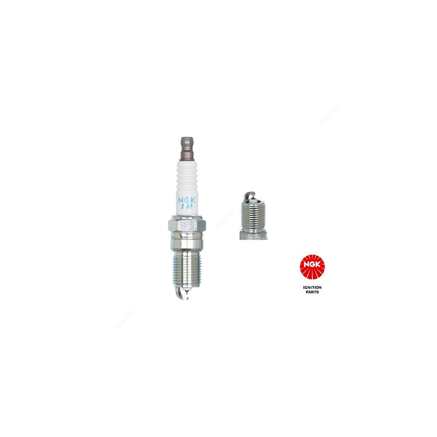 NGK Spark Plug SITR7A11G (94949) Fits: Aston Martin