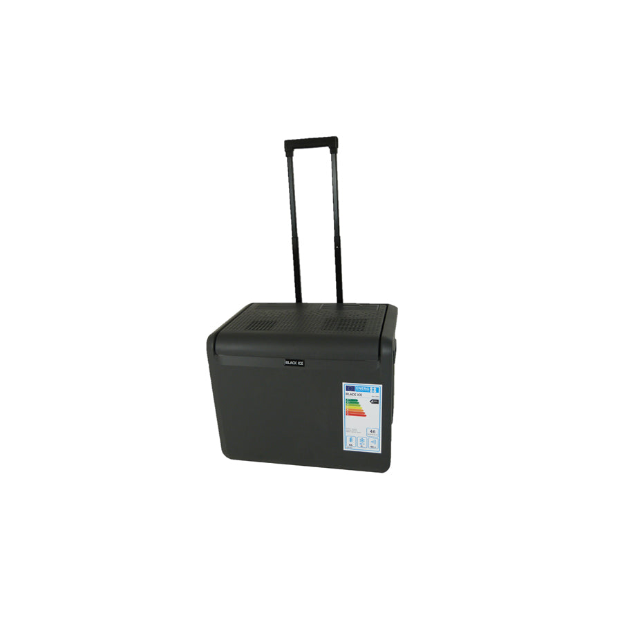 BLACK ICE 5966 Cool box 12V 220V, A+++, 40l, thermoelectric, portable