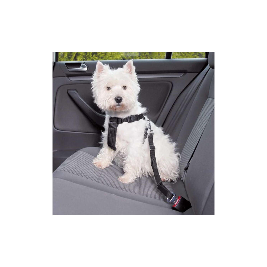 JOLLYPAW 7721611 Dog car safety lead