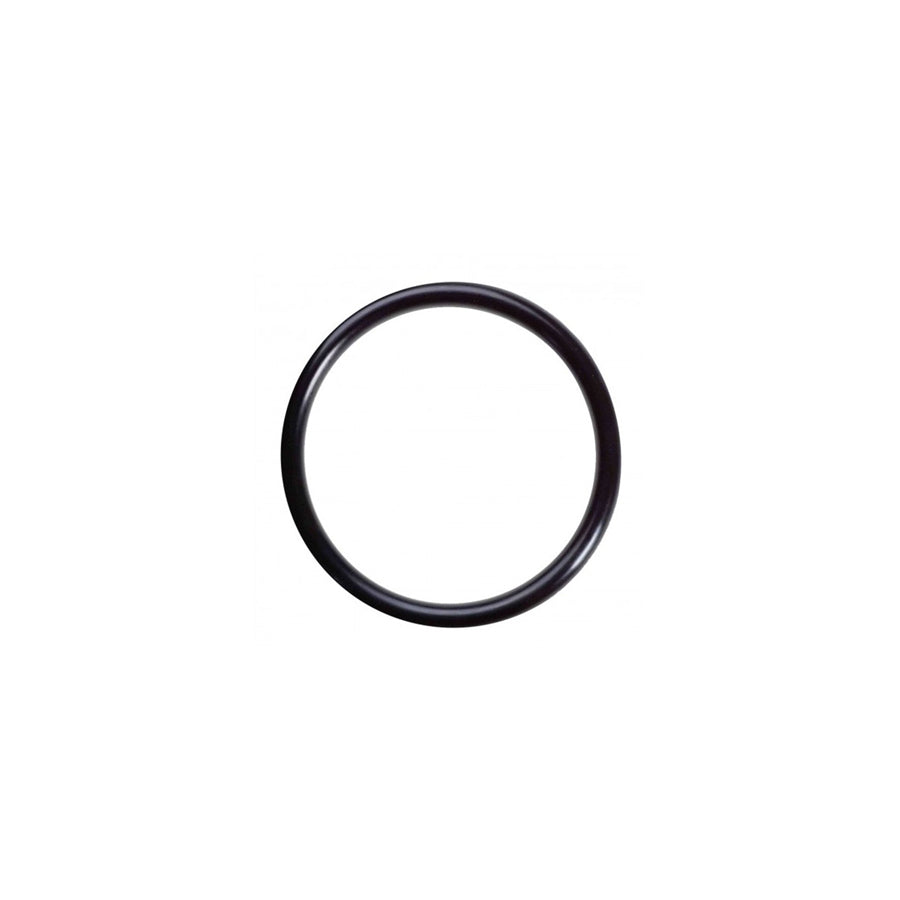 Genuine BMW N20/N54/N55 Intercooler Chargepipe O-Ring (Z4, 1M, 135i, 335i & 335D)