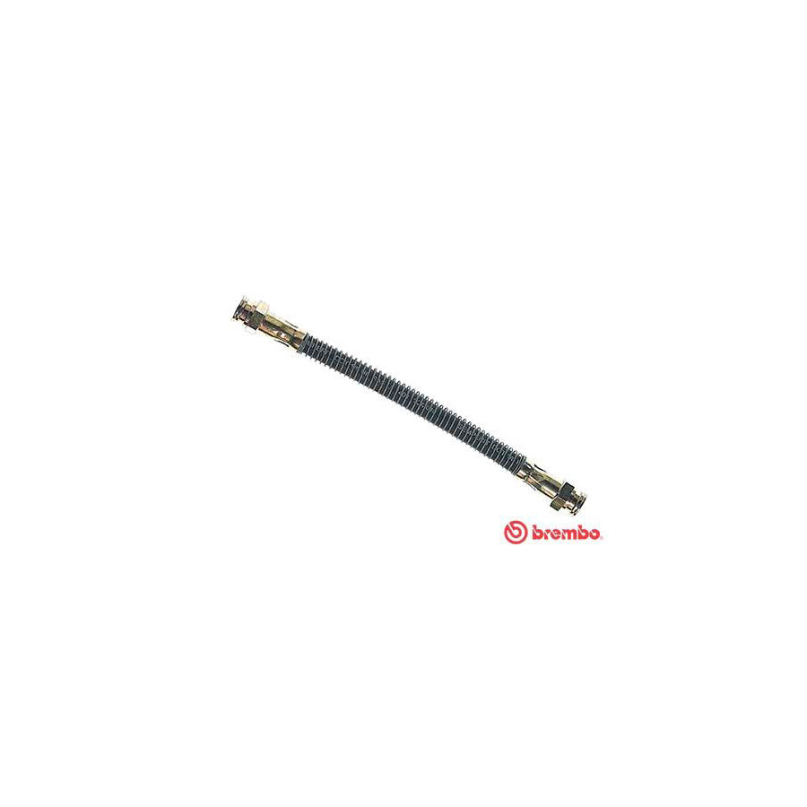 BREMBO T 61 012 Brake Hose 207Mm F10X1 