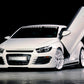 Rieger 00014103 VW 13 Mk3 Scirocco Front Bumper