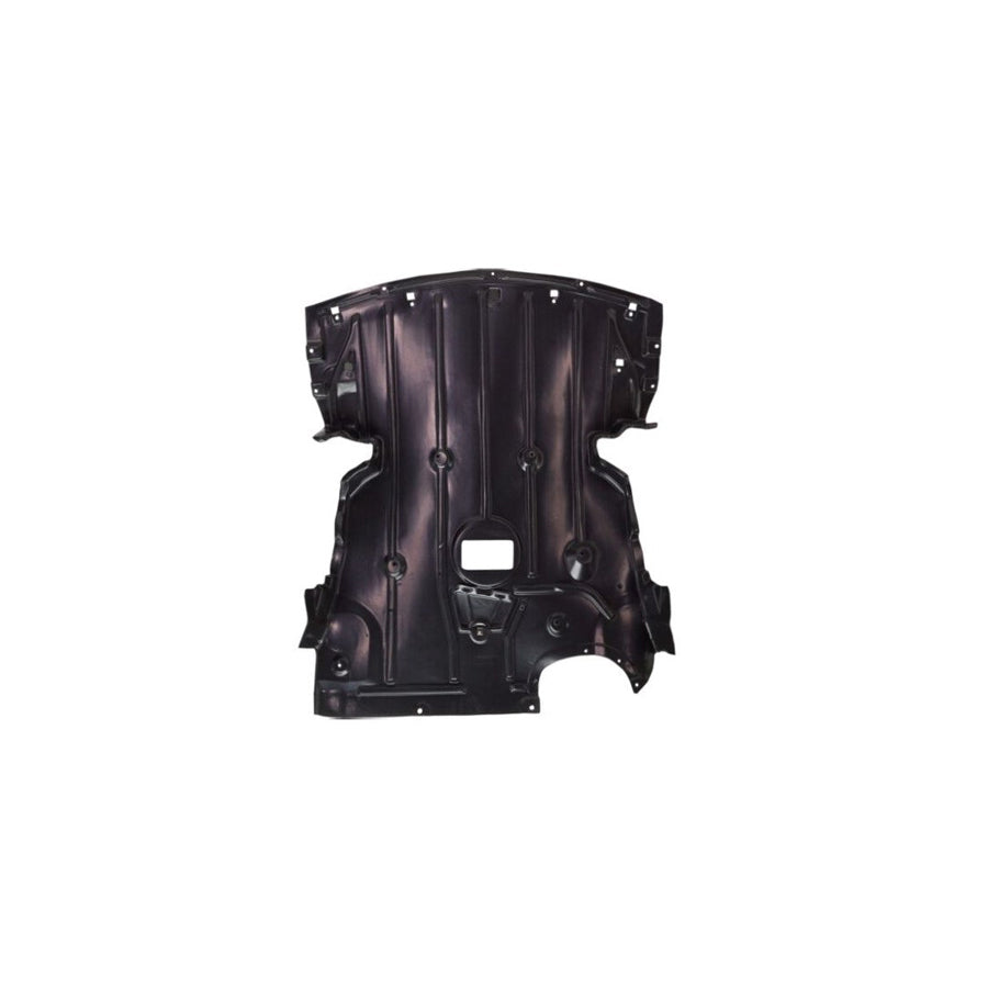 Genuine BMW E90 E91 E92 Engine Undertray (Inc. 325i, 328i, 330i & 335i)