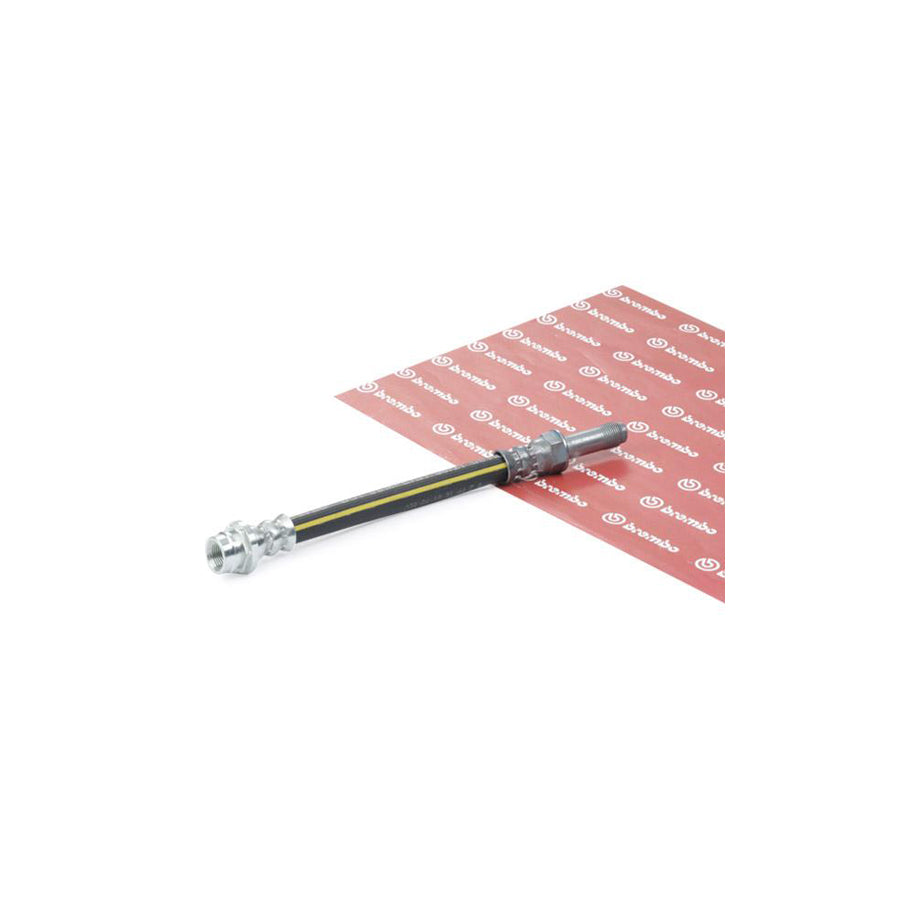 BREMBO T 24 144 Brake Hose 200Mm F10X1 