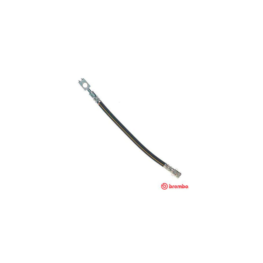 BREMBO T 85 137 Brake Hose 270Mm F10X1 