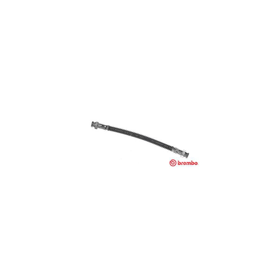BREMBO T 61 081 Brake Hose for PEUGEOT 305 235Mm F10X1 