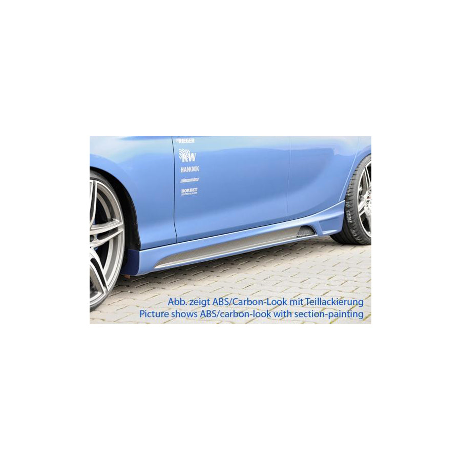 Rieger BMW F20 Sideskirts with Aluminium Mesh Cutout (Inc. 116i, 118i, 120d & M135i)