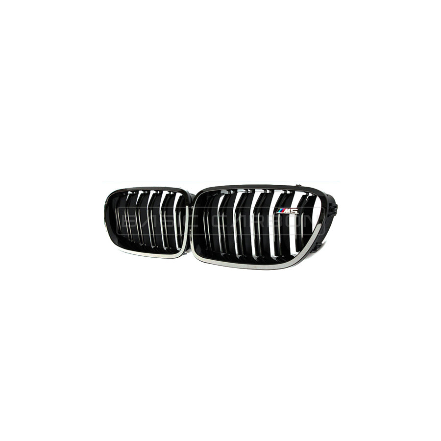 Basic Carbon BMW F10 Carbon Fibre Kidney Grille (Inc. 550i, M550dx & M5)