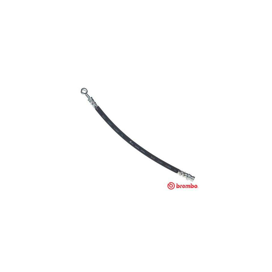 BREMBO T 30 109 Brake Hose 310Mm F10X1 
