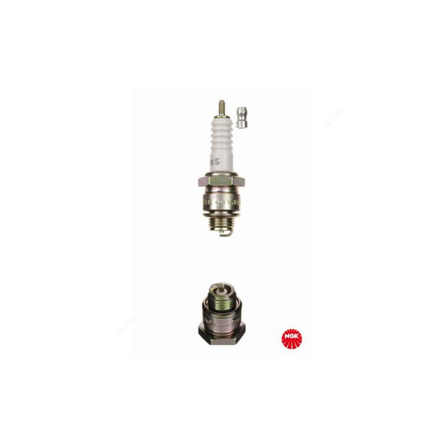 NGK B8S (3810) - Standard Spark Plug / Sparkplug - Nickel Ground Electrode