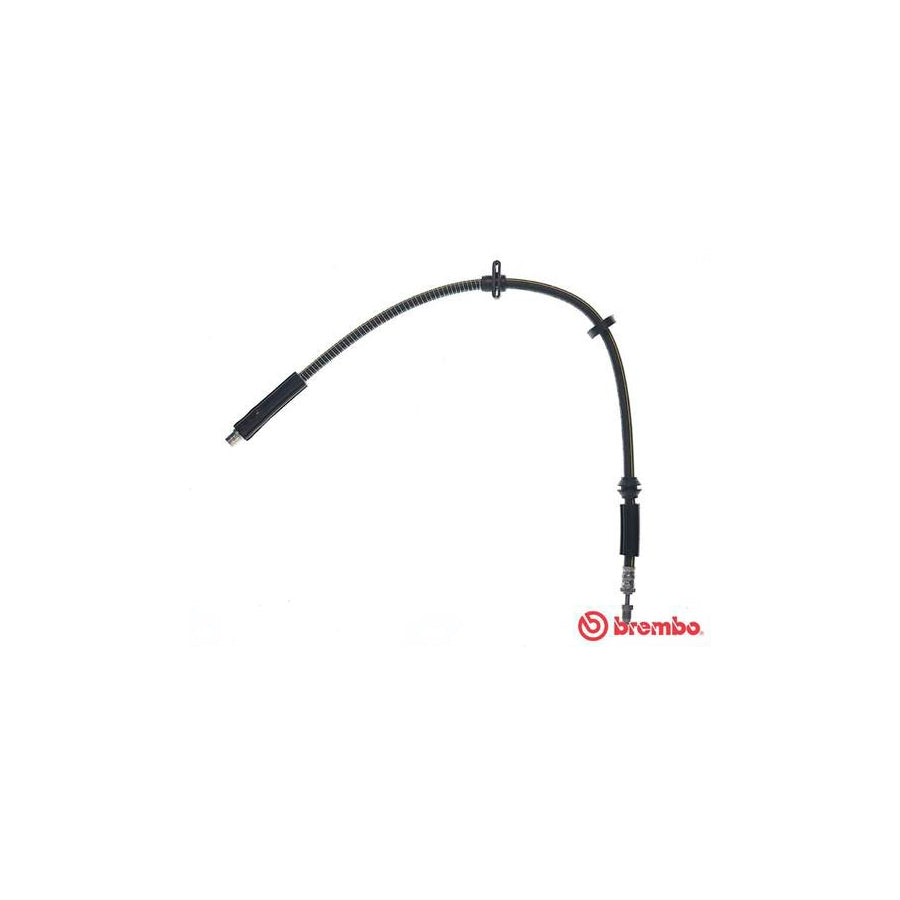 BREMBO T 06 051 Brake Hose 730Mm F10X1 