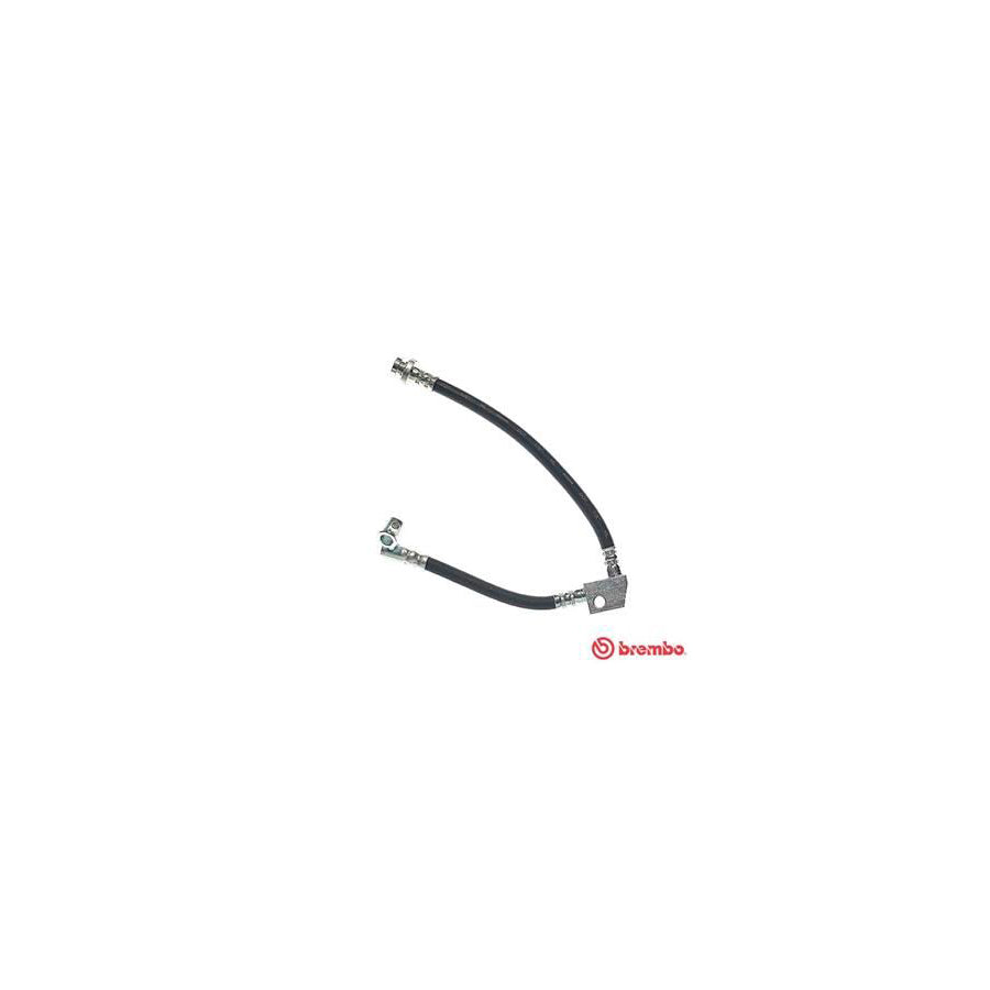 BREMBO T 56 039 Brake Hose for NISSAN PRIMERA 160Mm F10X1 