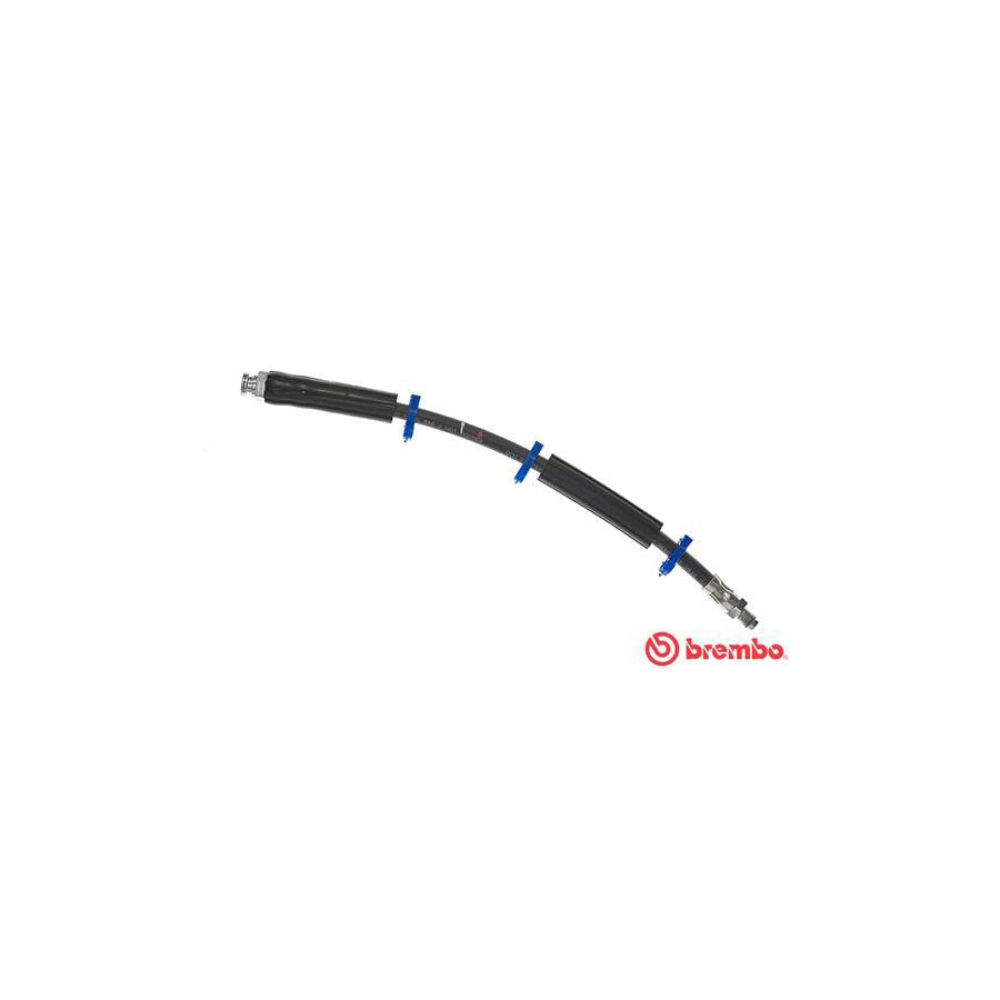BREMBO T 23 087 Brake Hose 365Mm F10X1 