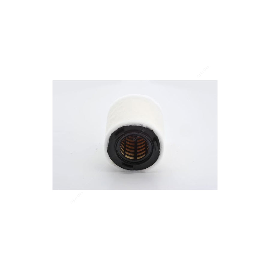 BOSCH Air Filter F026400391 [ S 0391 ]