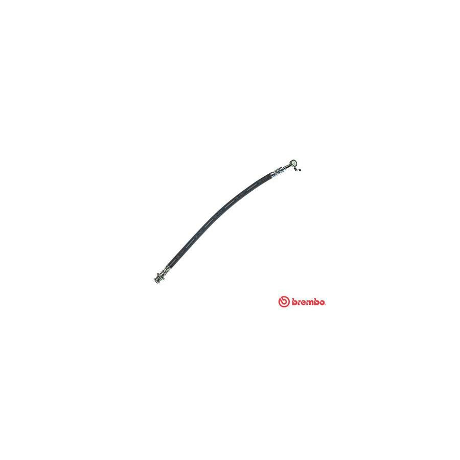 BREMBO T 56 167 Brake Hose 345Mm F10X1 