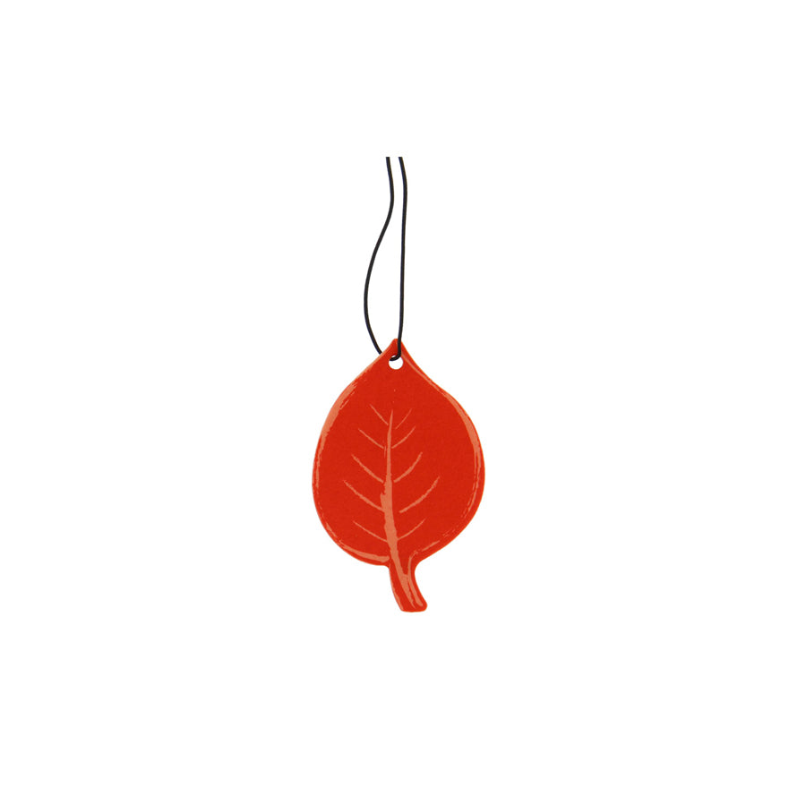 Carlinea Strawberry, Air Nature 190056 Car air freshener Bag