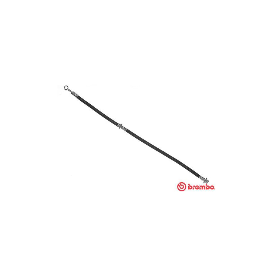 BREMBO T 56 134 Brake Hose 568Mm F10X1 