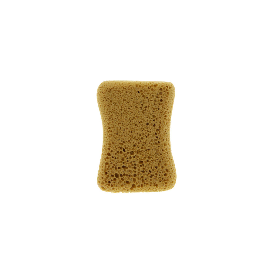 Carlinea Car sponge, Perfect Wash 011012 Car cleaning sponges 160mm, 120mm, Height: 50mm