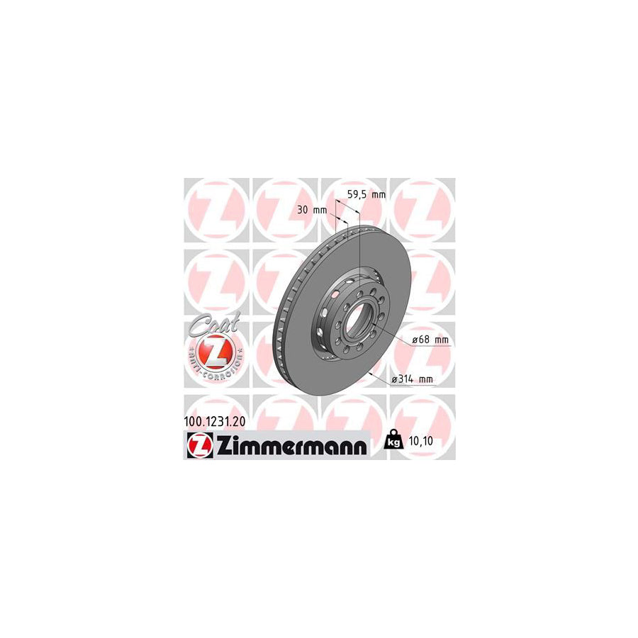 ZIMmERMANN COAT Z 100 1231 20 Brake Disc Externally Vented Coated High carbon