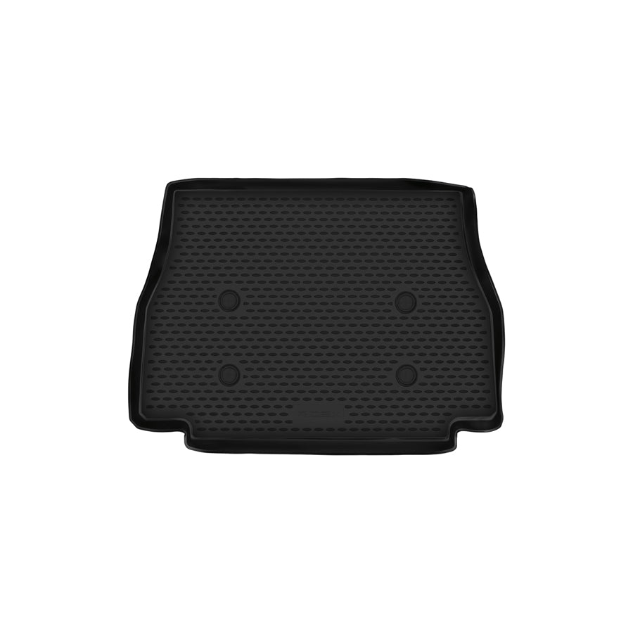 RIDEX 4731A0393 Car boot liner for BMW X5 (E53)