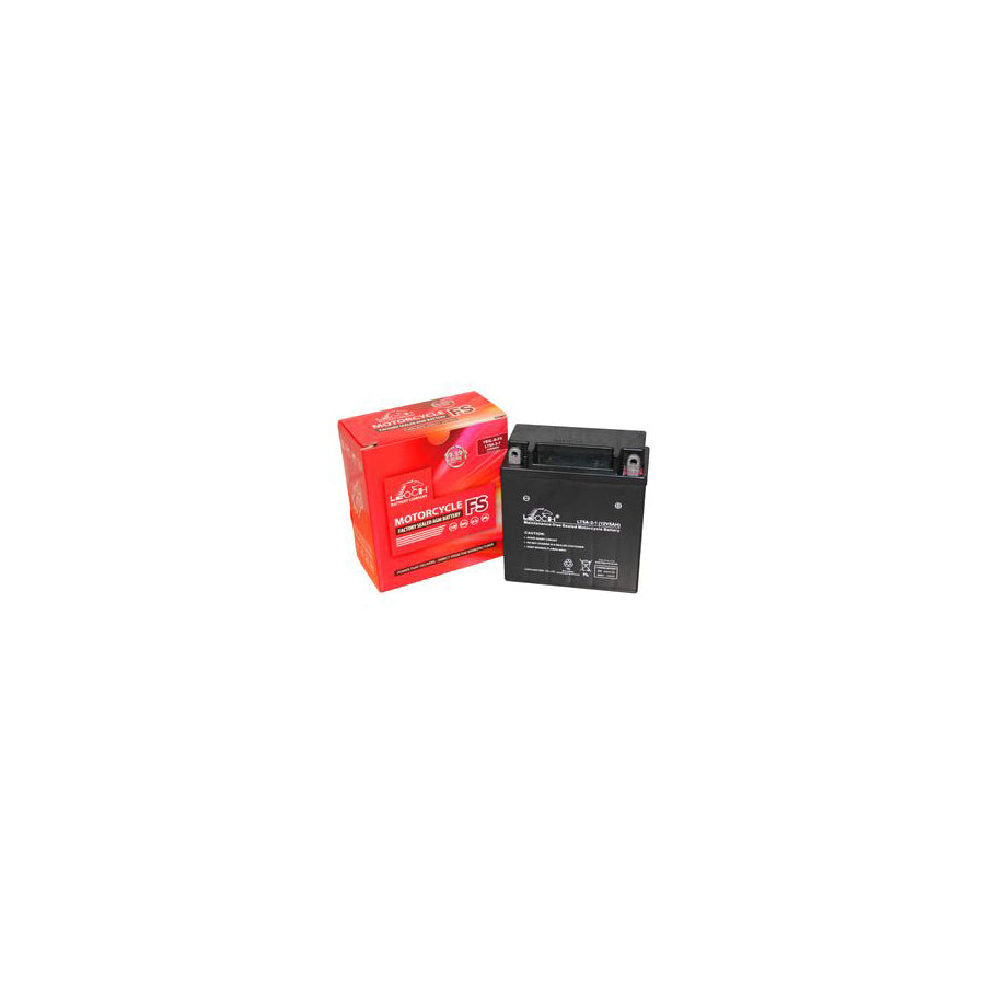 Leoch YB5L-B Powerstart AGM Motorcycle Battery LT5A-3