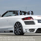 Rieger 00099046 Audi 8J TT Right Side Skirt - Carbon-Look