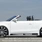 Rieger 00099046 Audi 8J TT Right Side Skirt - Carbon-Look