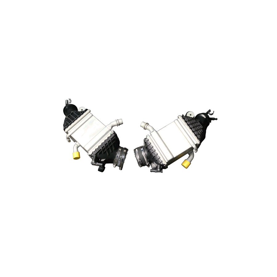 Genuine BMW S63 F85 F86 Twin Charge-air Cooler (X5 M & X6 M)