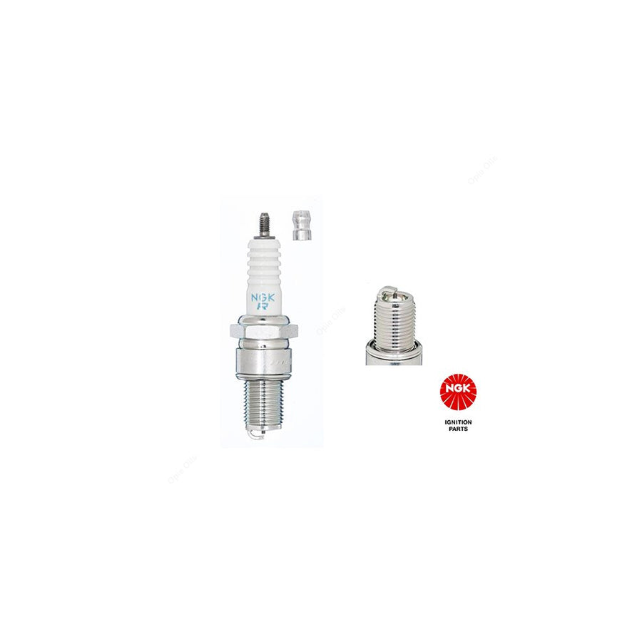 NGK BR8EG (3130) - Racing Spark Plug / Sparkplug - 5kOhm Resistor