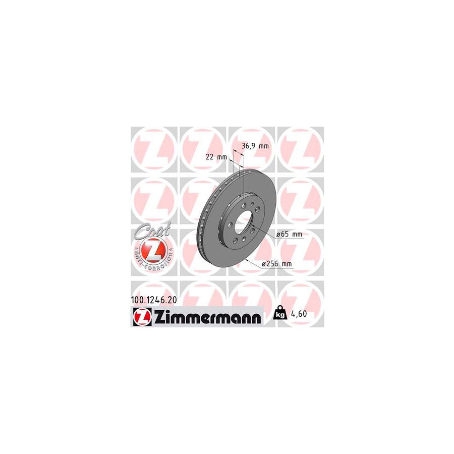 ZIMmERMANN COAT Z 100 1246 20 Brake Disc for AUDI A2 8Z0 Externally Vented Coated High carbon