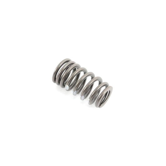 Genuine BMW E81 E90 F01 F30 Valve Spring (Inc. 130i, 335i, 535ix & 740i)