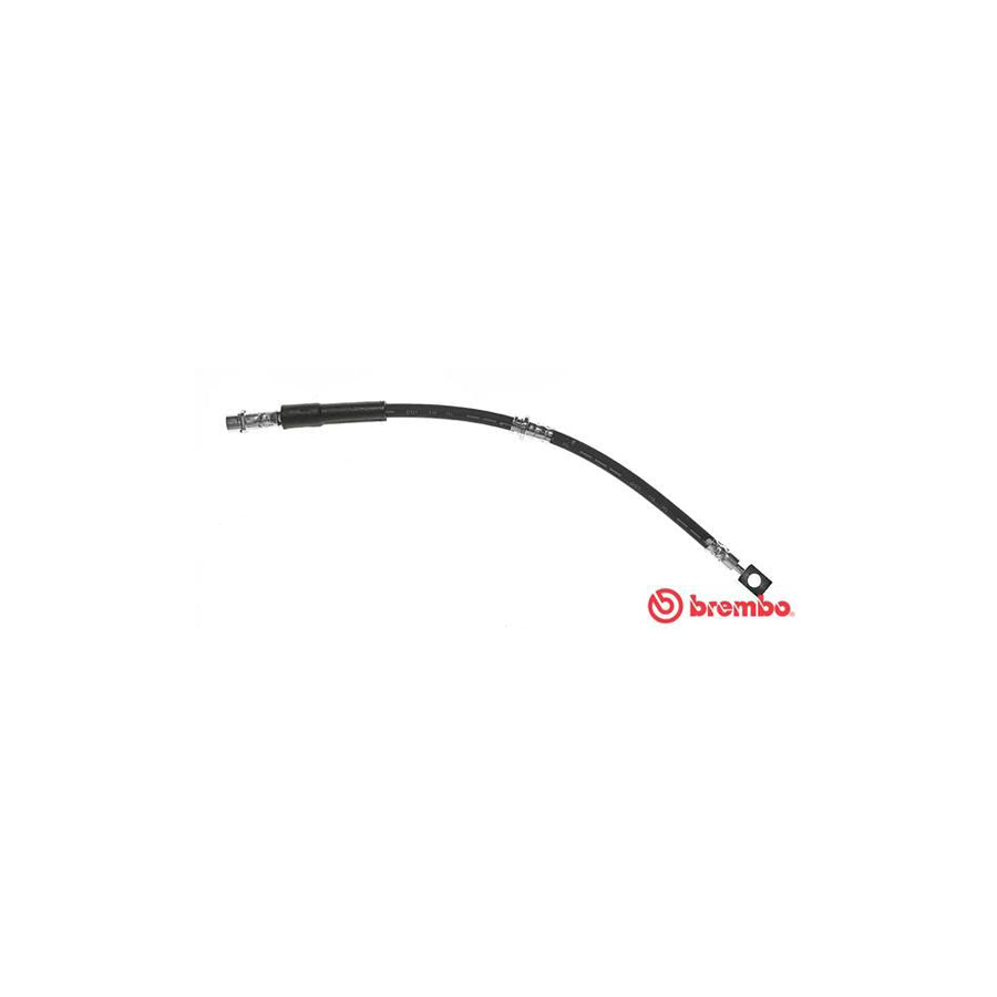 BREMBO T 59 072 Brake Hose 445Mm F10X1 