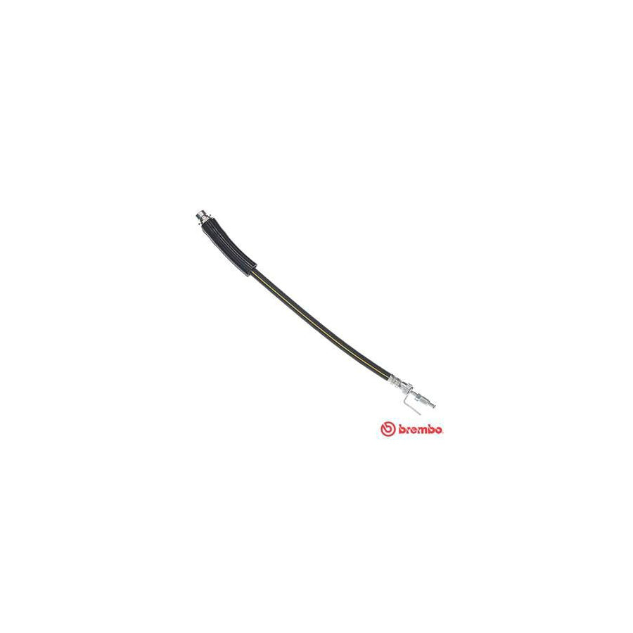 BREMBO T 24 146 Brake Hose 370Mm F10X1 