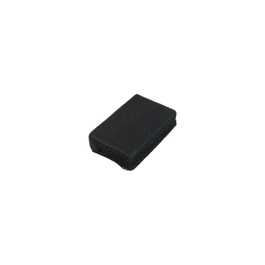 Protecton Car sponge, Insect sponge, Insect Sponge XL 1750111 Car cleaning sponges