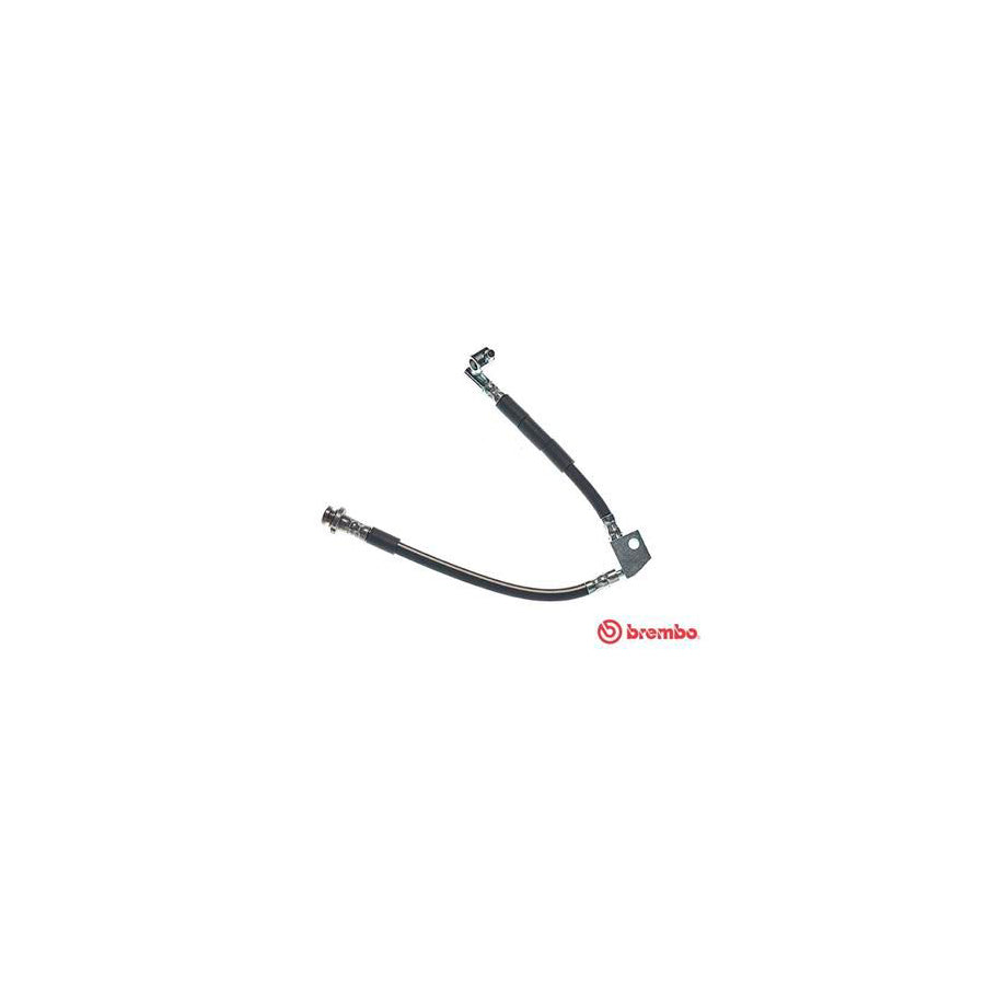 BREMBO T 56 040 Brake Hose for NISSAN PRIMERA 175Mm F10X1 