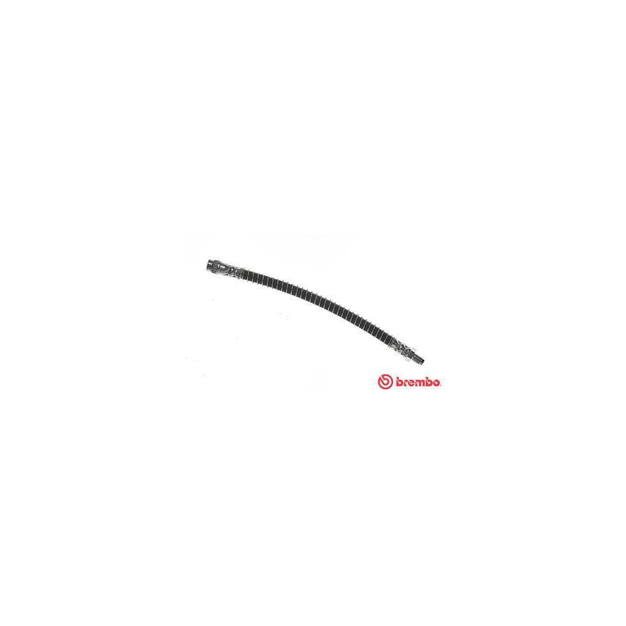BREMBO T 56 146 Brake Hose 250Mm F10X1 