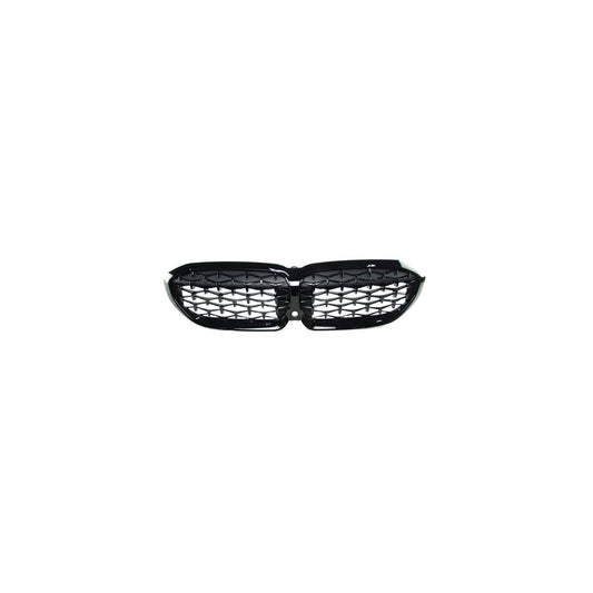 Genuine BMW G20 G21 Gloss Black Front Grille with Camera Cutout (M340i & M340ix)