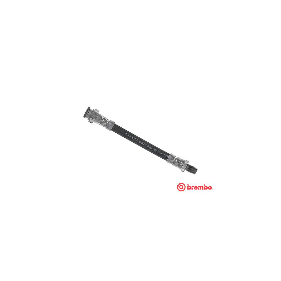 BREMBO T 23 190 Brake Hose 162Mm F10X1 