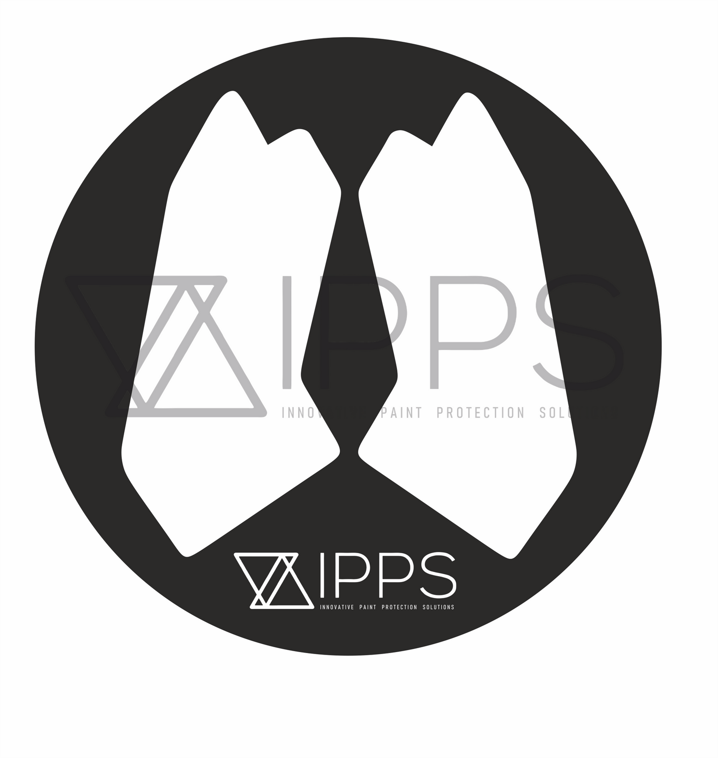 IPPS BMW MINI E92 F21 F22 F32 F82 Door Shut Paint Protection Film Kit (Inc. M135i, M240i, 335i & M4)