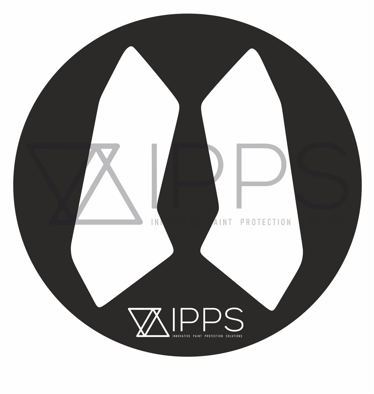 IPPS BMW MINI E92 F21 F22 F32 F82 Door Shut Paint Protection Film Kit (Inc. M135i, M240i, 335i & M4)