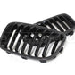 Basic Carbon BMW 1 Series F20 F21 Pre-LCI Carbon Fibre Kidney Grille (inc. 114d, 118i, 125i & M135i)