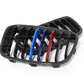 Basic Carbon BMW 1 Series F20 F21 Pre-LCI Carbon Fibre Kidney Grille (inc. 114d, 118i, 125i & M135i)