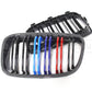 Basic Carbon BMW 1 Series F20 F21 Pre-LCI Carbon Fibre Kidney Grille (inc. 114d, 118i, 125i & M135i)