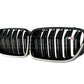 Basic Carbon BMW F10 Carbon Fibre Kidney Grille (Inc. 550i, M550dx & M5)