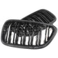 Basic Carbon BMW F20 F21 LCI Carbon Fibre Kidney Grille (Inc. 125i, M135i & M140i)