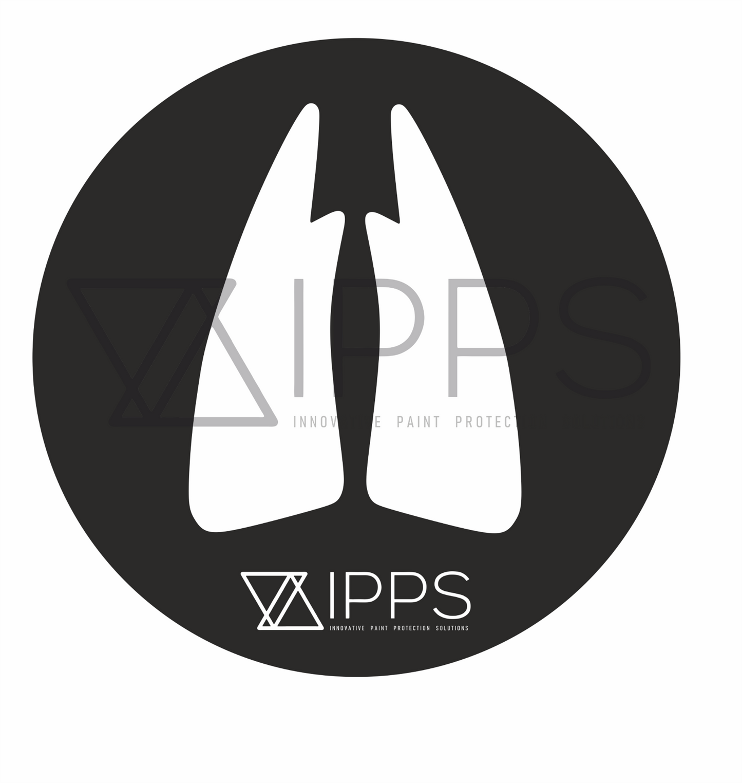 IPPS BMW MINI E92 F21 F22 F32 F82 Door Shut Paint Protection Film Kit (Inc. M135i, M240i, 335i & M4)